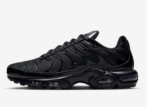 Nike Air Max Plus TN Triple Black